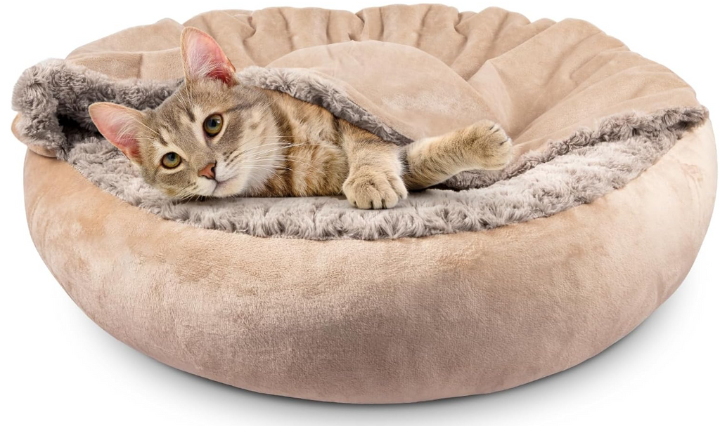 Alvóágy takaróval